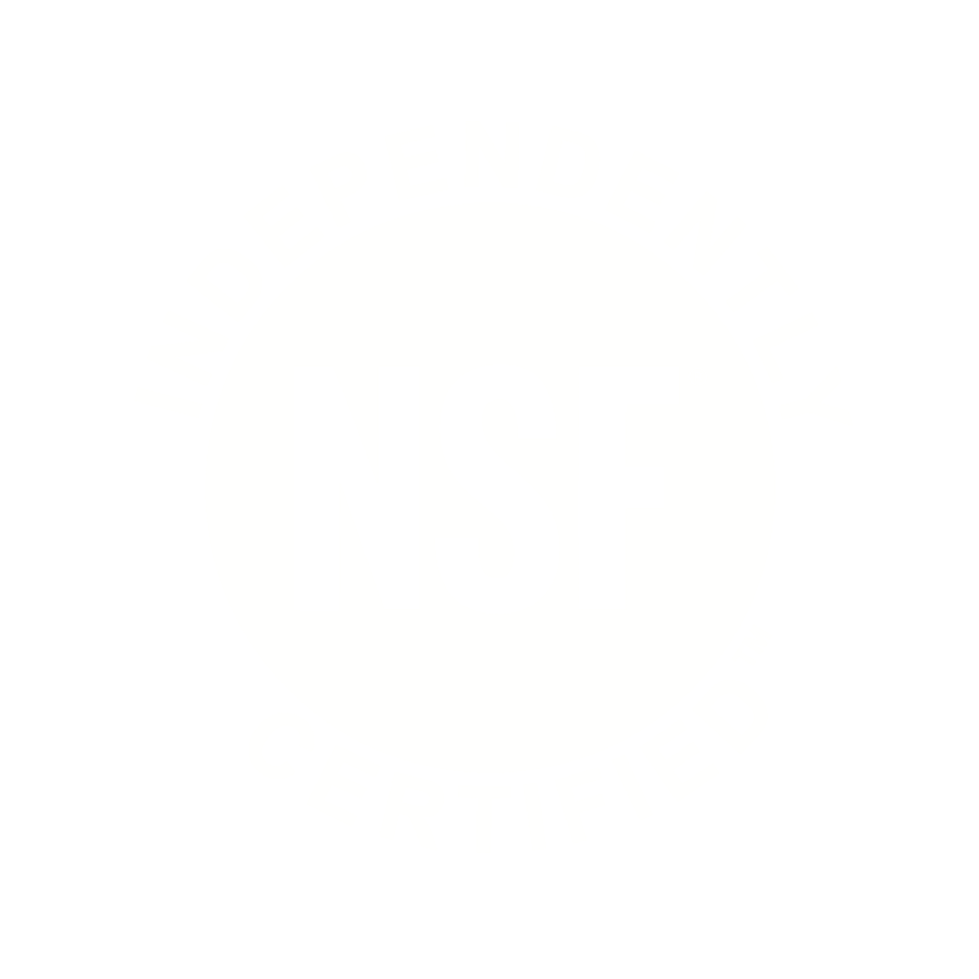 NSF Logo